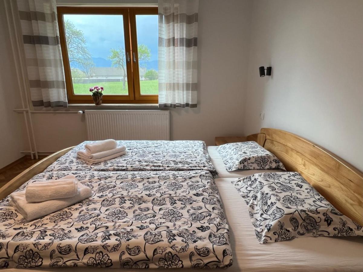 Apartma Ana In Manca Бегунье-на-Гореньскем Экстерьер фото